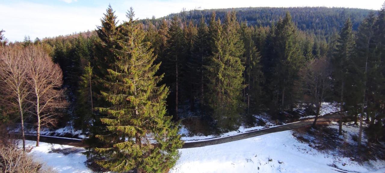 Ferienwohnung Tannenballett Im Schwarzwald Baiersbronn Esterno foto