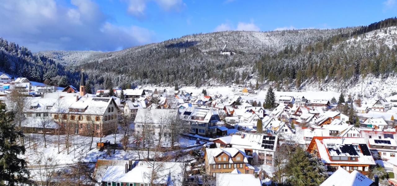 Ferienwohnung Tannenballett Im Schwarzwald Baiersbronn Esterno foto