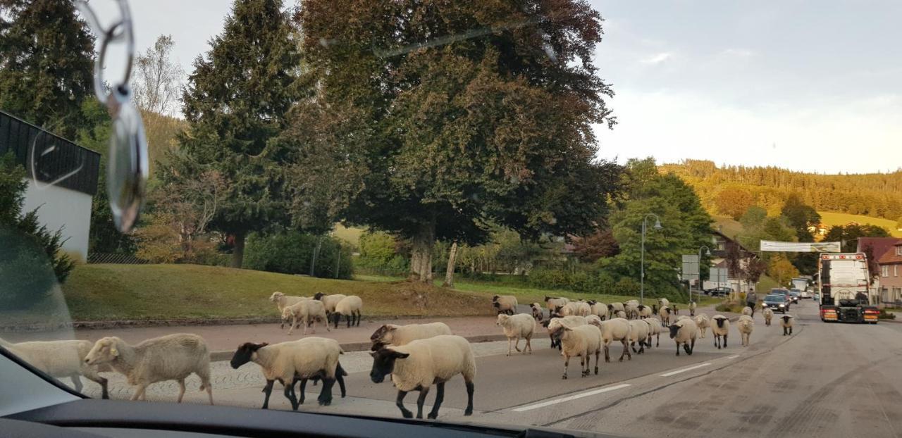 Ferienwohnung Tannenballett Im Schwarzwald Baiersbronn Esterno foto