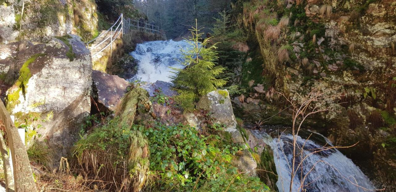 Ferienwohnung Tannenballett Im Schwarzwald Baiersbronn Esterno foto
