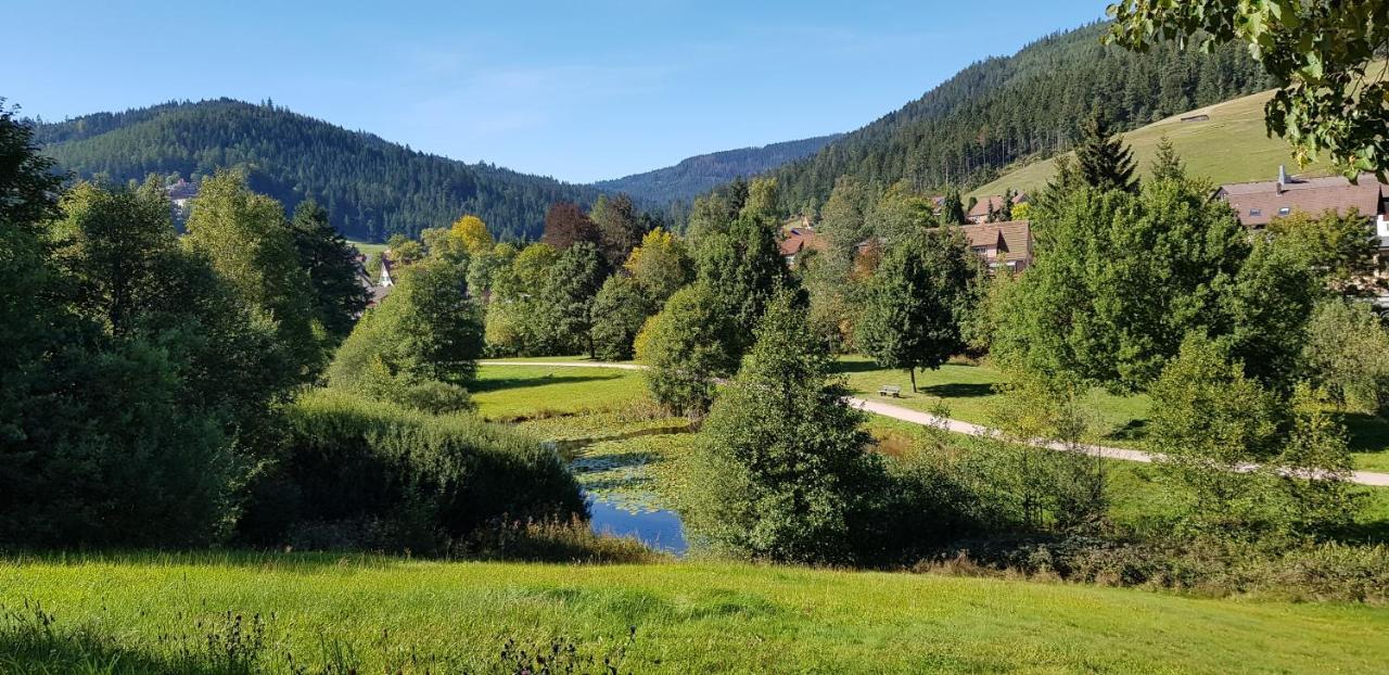Ferienwohnung Tannenballett Im Schwarzwald Baiersbronn Esterno foto