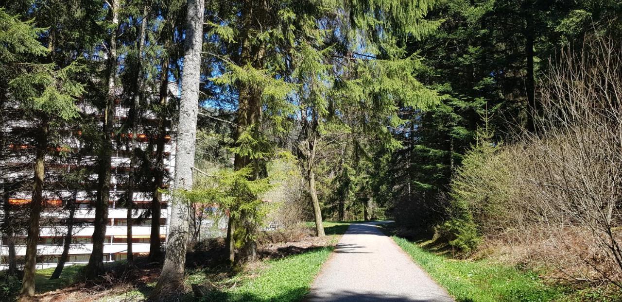 Ferienwohnung Tannenballett Im Schwarzwald Baiersbronn Esterno foto