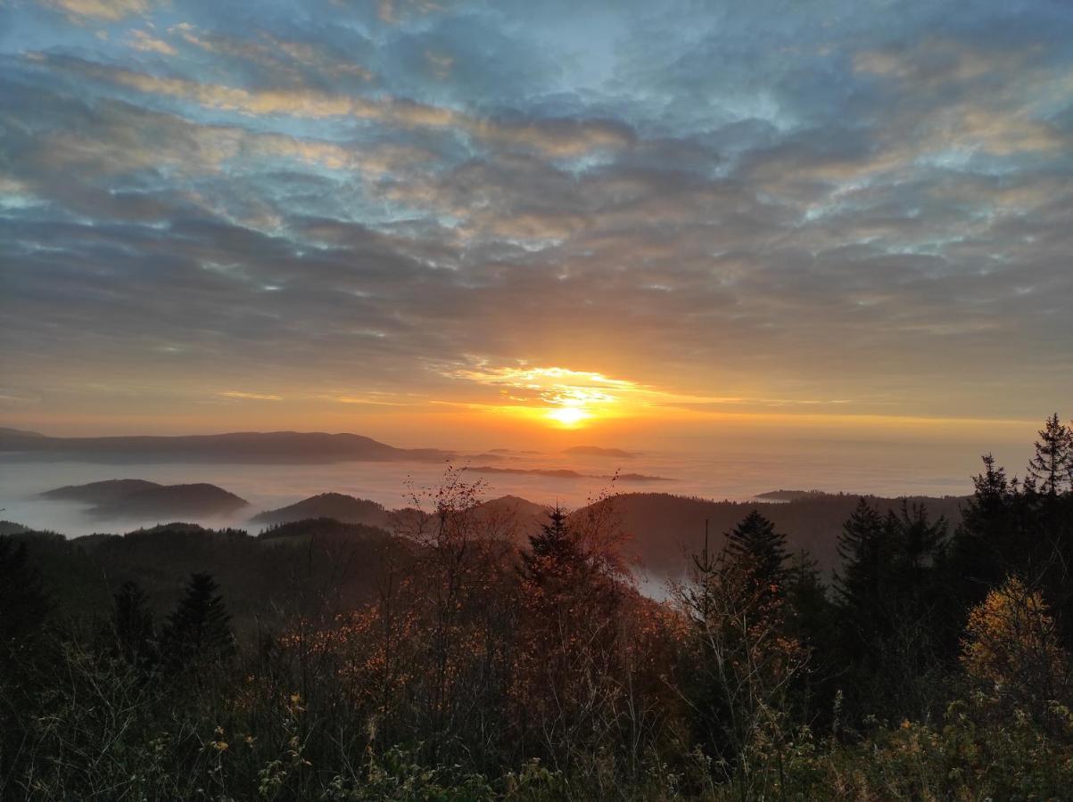 Ferienwohnung Tannenballett Im Schwarzwald Baiersbronn Esterno foto