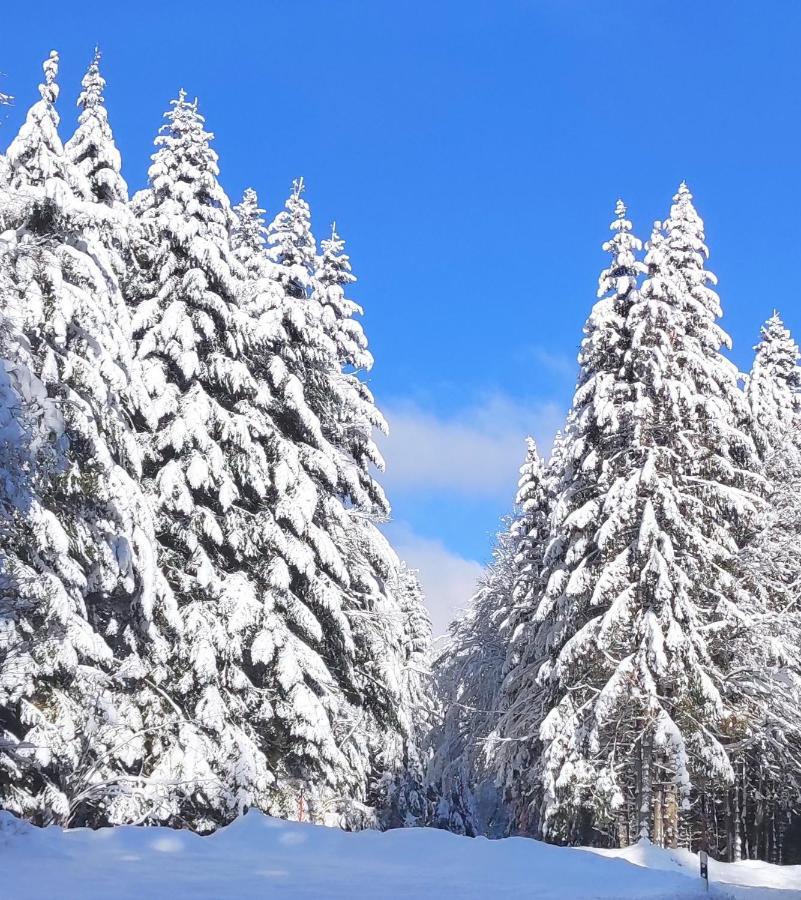 Ferienwohnung Tannenballett Im Schwarzwald Baiersbronn Esterno foto