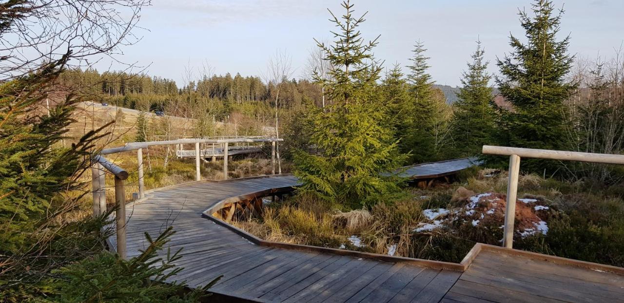 Ferienwohnung Tannenballett Im Schwarzwald Baiersbronn Esterno foto