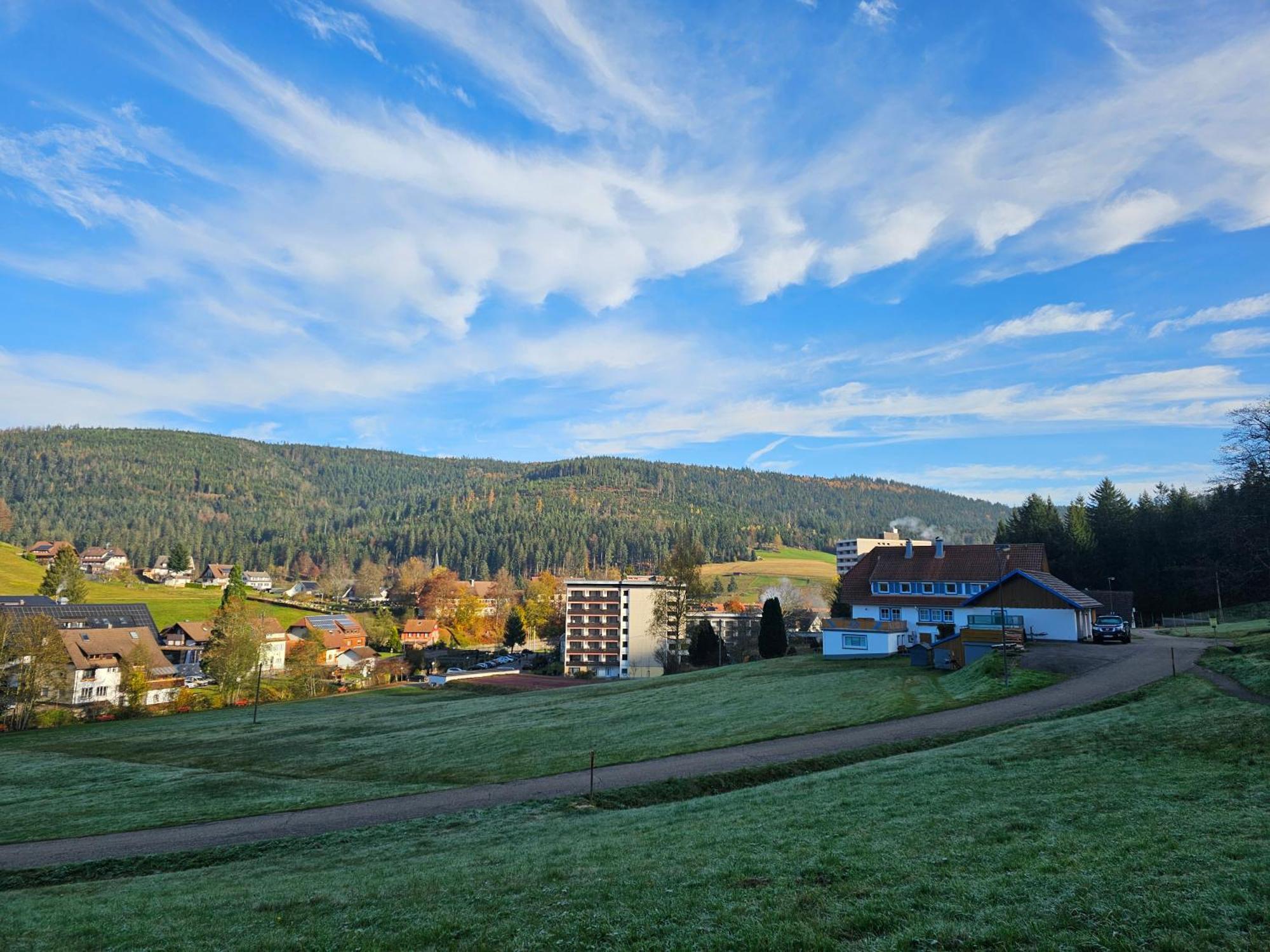 Ferienwohnung Tannenballett Im Schwarzwald Baiersbronn Esterno foto