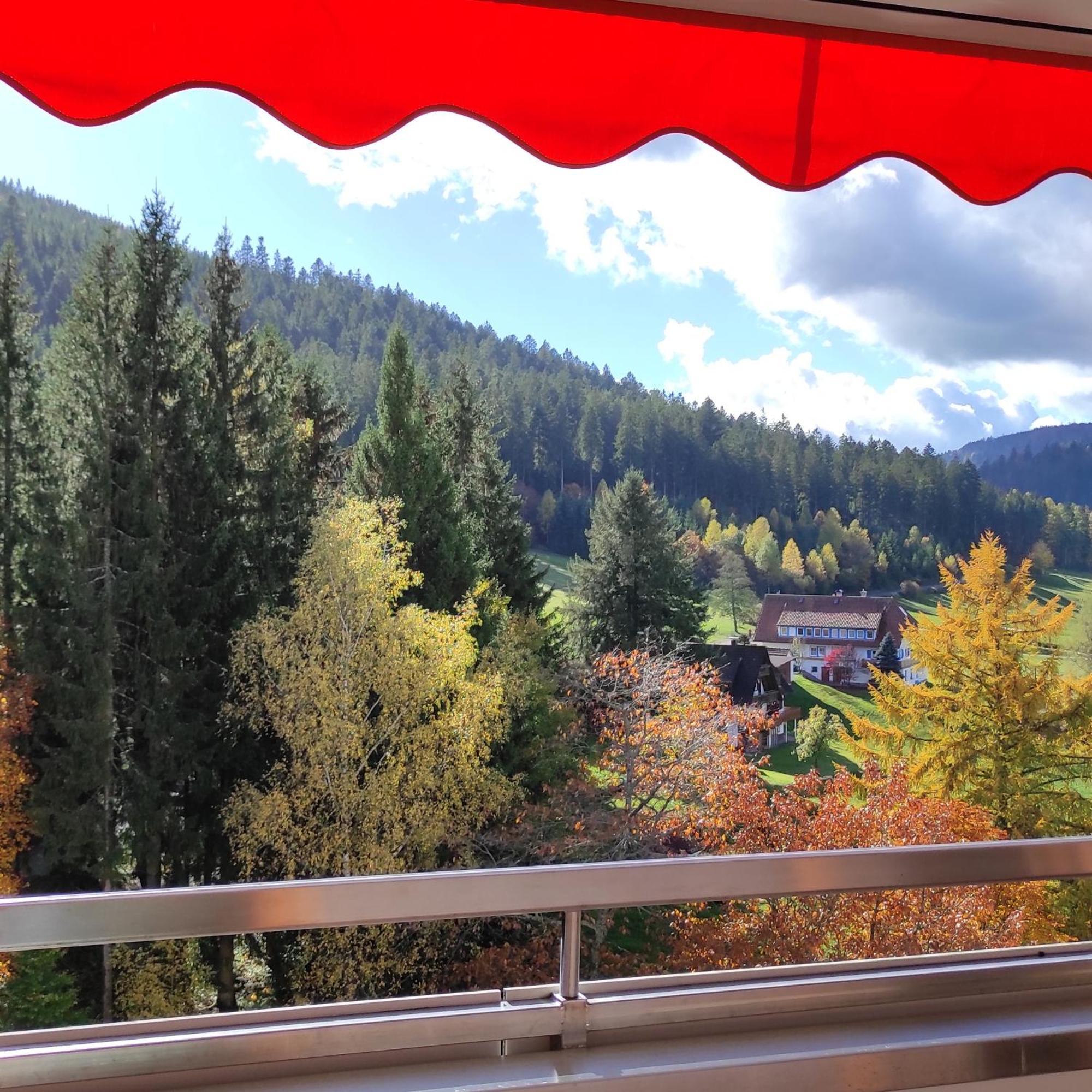 Ferienwohnung Tannenballett Im Schwarzwald Baiersbronn Esterno foto