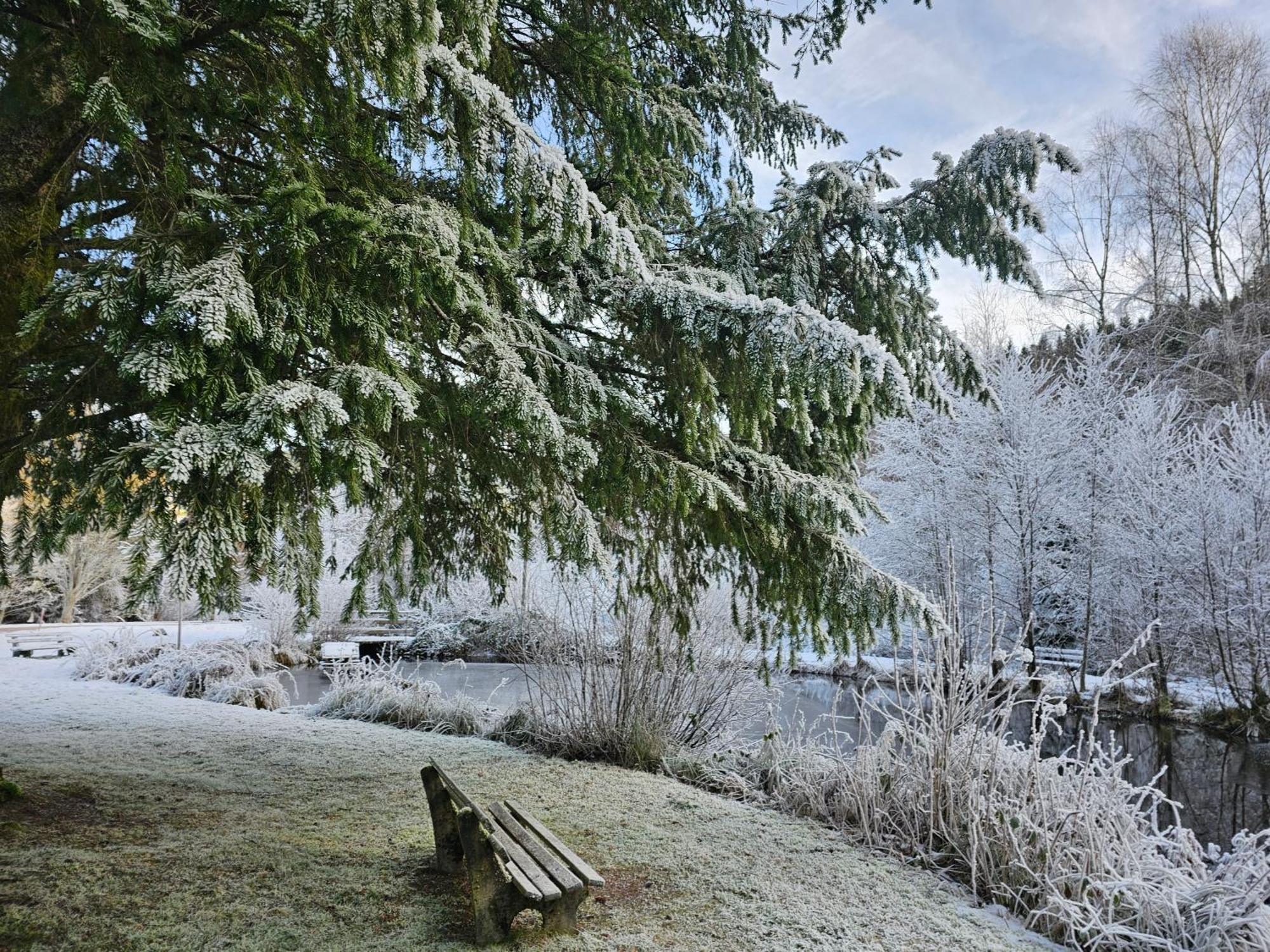 Ferienwohnung Tannenballett Im Schwarzwald Baiersbronn Esterno foto